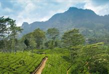Sri Lanka: Countryside To Coast